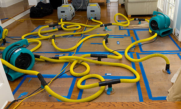 Professional Crawl Space Water Removal technician working in Winterville, GA
